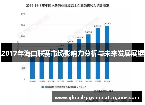2017年海口联赛市场影响力分析与未来发展展望
