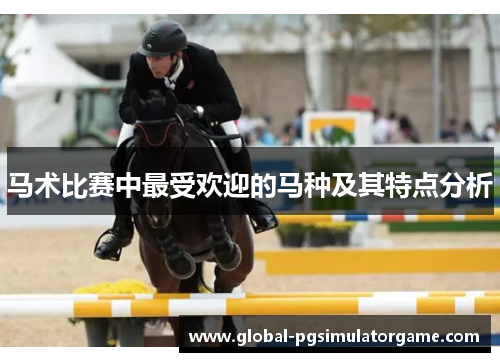 马术比赛中最受欢迎的马种及其特点分析