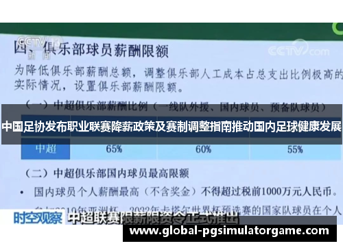 中国足协发布职业联赛降薪政策及赛制调整指南推动国内足球健康发展