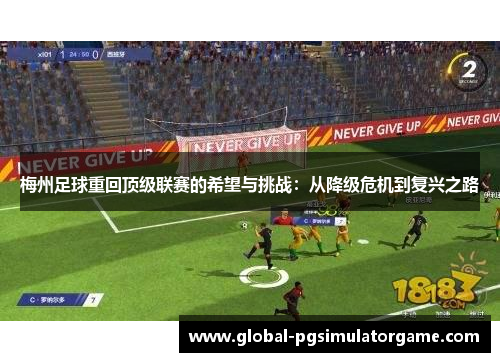 梅州足球重回顶级联赛的希望与挑战：从降级危机到复兴之路