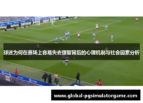 球迷为何在赛场上容易失去理智背后的心理机制与社会因素分析
