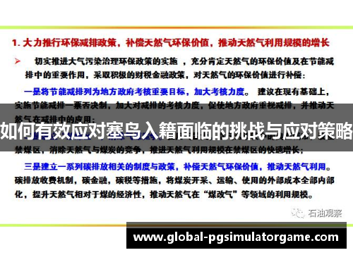 如何有效应对塞鸟入籍面临的挑战与应对策略