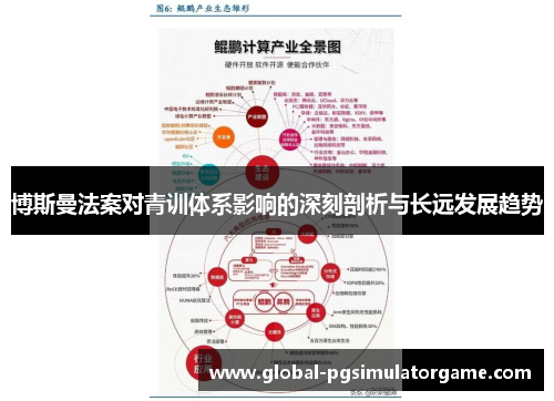 博斯曼法案对青训体系影响的深刻剖析与长远发展趋势